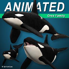 3D Human Embryo Fetus Animated